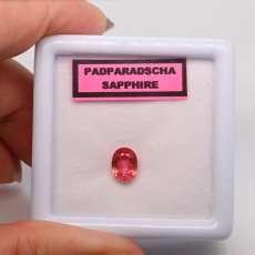 Natural Padparadscha Sapphire Oval 7.2x5.4mm Single Piece Approximately 1.40 Carat